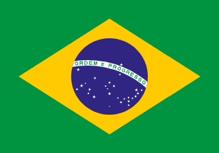 Flag of Brazil, as shown in a GuessrBot question